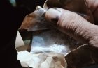 Polresta Mataram Amankan Pria Asal Lombok Timur yang Kedapatan Simpan Sabu 2 Gram di Saku Celana